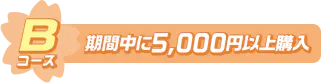 Bコース期間中に5,000円以上購入 